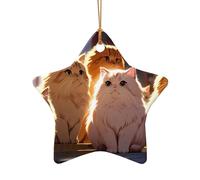 WZYCWB Questo albero di Natale in ceramica a forma di stella Bellissimo gattino stampato con un motivo è perfetto per feste di Natale invernali e decorazioni per la casa.