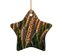 WZYCWB Questo albero di Natale in ceramica a forma di stella con orecchie di grano stampato con un motivo è perfetto per feste di Natale invernali e decorazioni per la casa.