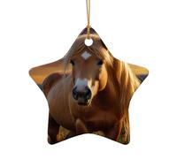 WZYCWB Questo albero di Natale in ceramica a forma di stella Golden Pony stampato con un motivo è perfetto per feste di Natale invernali e decorazioni per la casa.