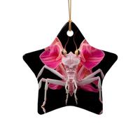 WZYCWB Questo albero di Natale in ceramica a forma di stella Orchidea Mantide religiosa stampato con un motivo è perfetto per feste di Natale invernali e decorazioni per la casa.