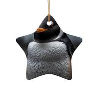 WZYCWB Questo albero di Natale in ceramica a forma di stella pinguino tecnologico stampato con un motivo è perfetto per feste di Natale invernali e decorazioni per la casa.