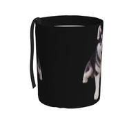 WZYCWB Simpatico bidone della spazzatura da appendere per auto, pratico e comodo, adatto per diversi modelli di auto, fornendo spazio ideale per riporre oggetti