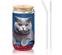 WZYCWB Temperamento Shorthair 16oz coperchio di bambù tazza di vetro tazza di vetro tazze da caffè ghiacciato carino tazze da tè ghiacciato tazze da birra ideali per accessori bar caffè regali