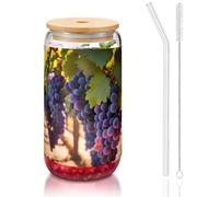 WZYCWB Uva del deserto 16 once bambù coperchio paglia tazza di vetro tazze da caffè ghiacciato carine tazze da tè ghiacciato tazze da birra ideali per caffè accessori bar regali estetici