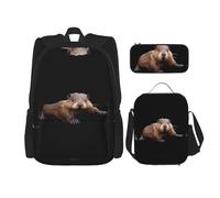 WZYCWB Zaino Smart Beaver (set da 3 pezzi), zaino di grande capacità, borsa per la scuola per studenti, astuccio, borsa per il pranzo