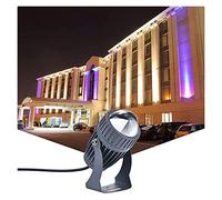 WZYJLyds Faretti A LED Proiettore A Fascio Stretto IP68 Impermeabile Riflettore 10W Lampada da Parete per Esterni Illuminazione del Paesaggio (Color : Bianco Freddo, Size : 110-230V)