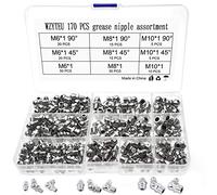 WZYTEU 170 Pezzi Set di Ingrassatore, Assortimento Ingrassatori per Raccordo e Ingrassatori in Metallo, M6 M8 M10 in Dritto e Angolato 45° 90° Ingrassatori Testine