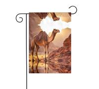 WZYWHJ Bandiera da giardino con stampa di cammello nel deserto, 30,5 x 45,7 cm, per un ambiente esterno alla moda