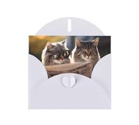 WZYWHJ Biglietto di auguri bianco per le vacanze, 15,2 x 10,2 cm, con busta, per Natale, compleanno, San Valentino, invito alla festa, coppia di gatti con stampa