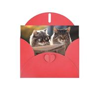 WZYWHJ Biglietto di auguri rosso per le vacanze, 15,2 x 10,2 cm, con busta, per Natale, compleanno, San Valentino, invito alla festa, coppia di gatti con stampa