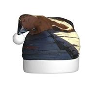 WZYWHJ Cappello di Babbo Natale per adulti per feste e feste di Natale, cerimonie annuali Gatto randagio nel vicolo modello