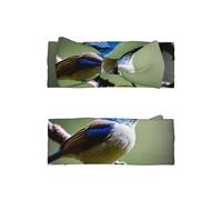 WZYWHJ Cerchietti per capelli eterei con immagine di uccellino usignolo e accessori elastici per capelli morbidi per neonati e ragazze