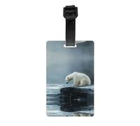 WZYWHJ Etichetta per bagagli con immagine di orso polare povero che guarda il ghiaccio con cinturino staccabile, gancio da viaggio per una comoda identificazione, dimensioni biglietto da visita