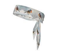 WZYWHJ Fasce per capelli con stampa uccelli sulla neve, cravatta sportiva per uomini e donne, fascia per capelli per corsa, allenamento e calcio