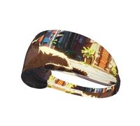 WZYWHJ Fascia morbida e assorbente per allenamento basket rosso, accessorio per capelli ideale per yoga, corsa e altro ancora! Motivo gatto randagio nel vicolo