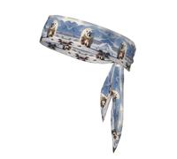 WZYWHJ Fascia per capelli con immagine di orso polare, fascia sportiva per uomini e donne, fascia per capelli per corsa, allenamento e calcio
