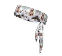 WZYWHJ Fascia per capelli con stampa Little Squirrel on the Snow Tree, fascia sportiva per uomini e donne, fascia per capelli per corsa, allenamento e calcio