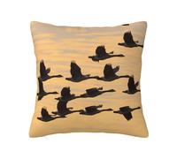 WZYWHJ Federa decorativa per cuscino, 30,5 x 30,5 cm, con oche che volano verso sud, design double-face, per casa, letto, divano, soggiorno, fattoria, all'aperto