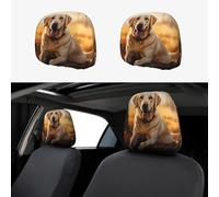 WZYWHJ Federa protettiva universale per auto, motivo: Labrador Retriever, 2 pezzi