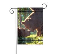 Wzywhj Grande orso marrone stampa estate giardino bandiera doppia faccia decorazione cortile 30,5 x 45,7 cm