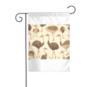 Wzywhj Graziosa bandiera estiva da giardino con immagine di struzzo su entrambi i lati, decorazione per cortile, 30,5 x 45,7 cm
