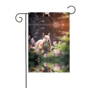 Wzywhj Graziosa bandiera estiva da giardino con stampa scoiattolo su entrambi i lati, decorazione per cortile, 30,5 x 45,7 cm