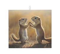 WZYWHJ Naughty Groundhog - Tappetino scolapiatti per la cucina: realizzato in spugna assorbente, con cordino per appenderlo, 45,7 x 40,6 cm
