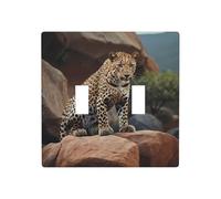 WZYWHJ Piatto decorativo da parete con stampa di leopardo africano su rocce, 11,4 x 11,4 cm, resistente ed elegante, per aree residenziali e commerciali