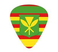 Wzywhj Plettro per chitarra con motivo bandiera hawaiana, facile da impugnare, per basso, ukulele, chitarra acustica ed elettrica, 12 pezzi