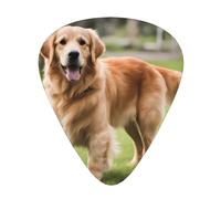 Wzywhj Plettro per chitarra con simpatico motivo Golden Retriever facile da impugnare per basso, ukulele, chitarra acustica ed elettrica, 12 pezzi