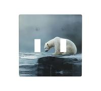 WZYWHJ Povero orso polare guardando il ghiaccio Immagine Pannello termoplastico per interruttore Copertura decorativa parete fronte-plate che non è facilmente danneggiato