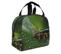 WZYWHJ Rainbows Insetti Stampe borsa per il pranzo Portatile isolato Borse per il pranzo Portatile Borse per il pranzo Robusto Facile da piegare