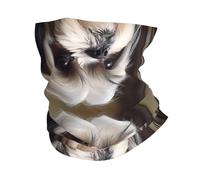 WZYWHJ Shih Tzu Dog Picture - Foulard multifunzione sportivo, fascia, maschera per il viso, braccialetto