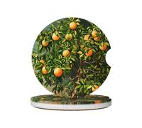 WZYWHJ Sottobicchieri per auto in ceramica di qualità dell'immagine dell'albero del frutto della passione, 2 pezzi, tappetino antiscivolo per portabicchieri, accessori per auto