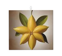 WZYWHJ Stella frutta a cinque punte Stella Immagine Stella Mat per la cucina : Realizzato in spugna assorbente acqua, con cordino per appendere 45,7 x 40,6 cm