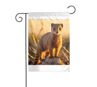Wzywhj Suricati immagine estate giardino bandiera double face decorazione cortile 30,5 x 45,7 cm