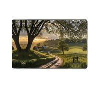 WZYWHJ Tappeti per soggiorno, tappeto runner antiscivolo per asilo nido tappeto da gioco 152,4 x 99,1 cm con immagine pastorale dopo la pioggia