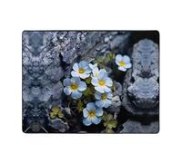 WZYWHJ Tappeti per soggiorno, tappeto runner antiscivolo per asilo nido tappeto da gioco 160 x 122 cm piccoli fiori nelle crepe delle rocce stampati