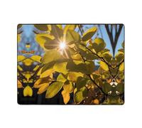 WZYWHJ Tappeti per soggiorno, tappeto runner antiscivolo tappeto per asilo nido tappeto da gioco 160 x 122 cm foglie incandescenti al sole stampa