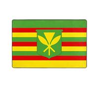 WZYWHJ Tappeti per soggiorno, tappeto runner tappeto antiscivolo per asilo nido tappeto da gioco 152,4 x 99,1 cm con bandiera nativa hawaiana stampata