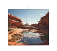 WZYWHJ Tappetino scolapiatti per cucina con scritta "Source of water in the desert", realizzato in spugna assorbente, con cordino per appenderlo, 45,7 x 40,6 cm