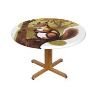 WZYWHJ Tovaglia rotonda con stampa di scoiattoli, impermeabile, resistente alle pieghe, per tavolo da pranzo, tovaglia decorativa