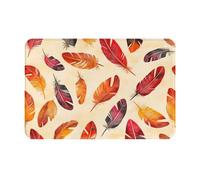 WZYWHJ Zerbino antiscivolo, 40,6 x 61 cm, facile da pulire, adatto per porta d'ingresso, soggiorno, bagno, sei piume colorate
