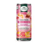 X 20 Lattine L'ANGELICA Tisana a Freddo Drenante Anticell in Lattina Codice A