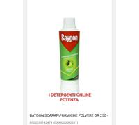 Insetticida Baygon Polvere Scarafaggi/Formiche Gr. 250