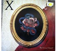 X - ain't love grand LP