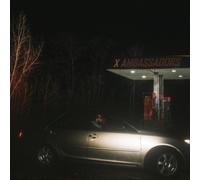 X Ambassadors Townie (Vinyl LP) 12" Album