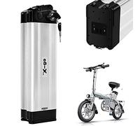 X-go 36V 10.4AH Batteria per Bicicletta Elettrica Li-Ion a Ioni di Litio per Motori da 250W 350WE-Bike Pedelec Bici Elettrica Silverfish + Caricabatterie (36V 10Ah 2port)