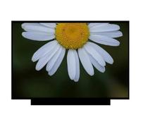 X psblty Compatibile con Innolux, N161HCA-GA1, Pannello Schermo LCD A | Compatibile con BOE, NV161FHM-NY1, matrice LED sottile da 16,1", IPS FHD 1920*1080P, 144 HZ, 40 pin EDP a