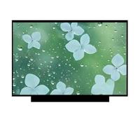 X psblty Compatibile con Lo Schermo del Laptop Erazer E Defender P40 A | Compatibile con Medion, schermo LCD for laptop da 17,3 pollici 2560X1440 QHD IPS, 240 Hz, non touch